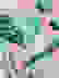 item-85061138=5
