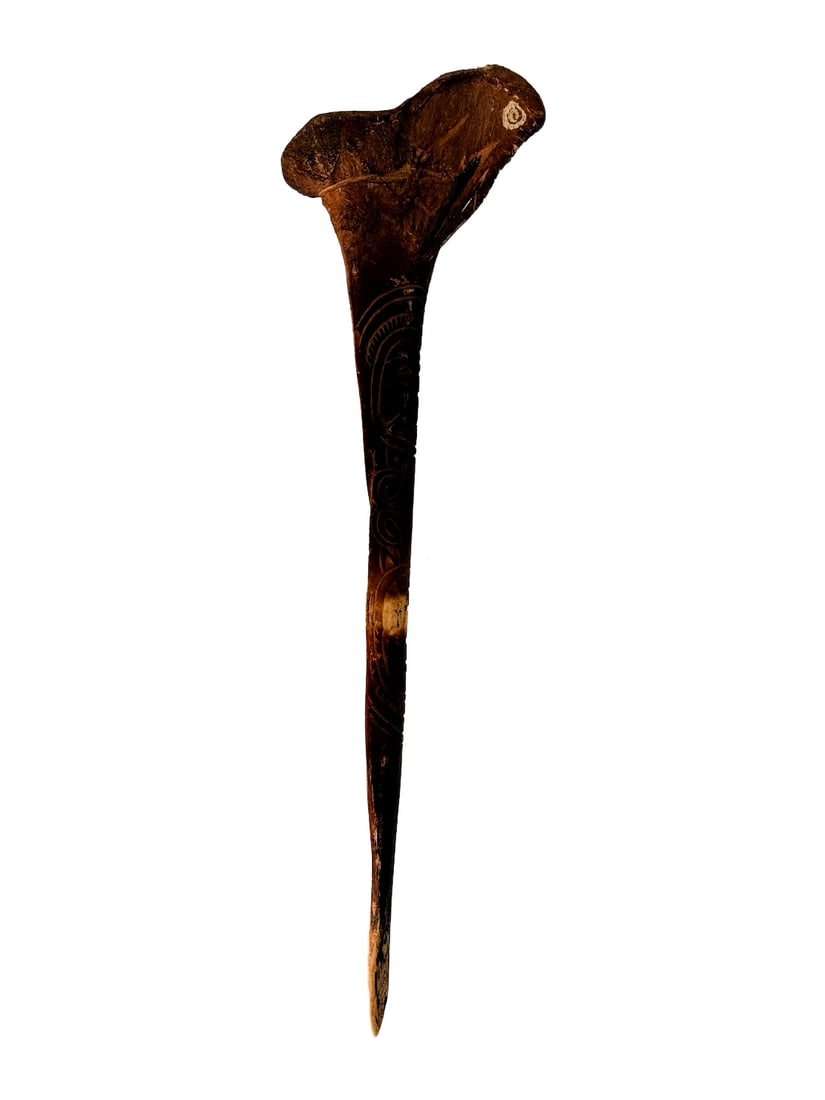 Cassowary Bone Dagger: 1984.02.066 Cassowary bone dagger. For many groups in Papua New Guinea, bone was an important medium for making tools of all types. This dagger is made from leg bone of a cassowary, a large, flightles