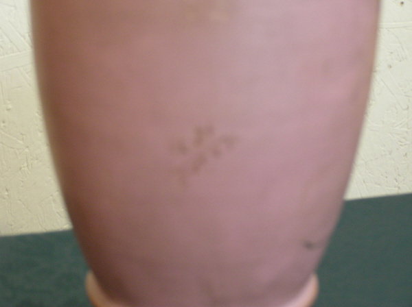 Hand Decorated Bristol Floral Vase - 3