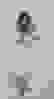 item-51257273=5