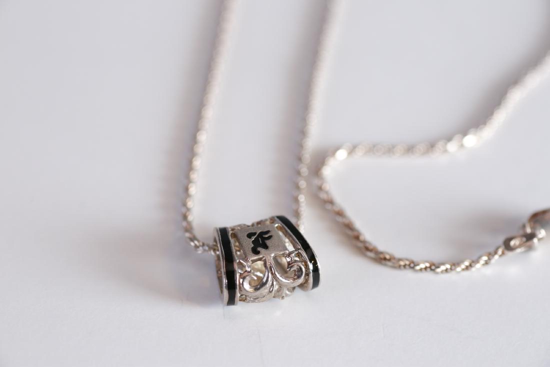 Sterling Rope Chain Necklace, Sterling Enamel Pendant (1 of 5)