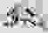 item-58199123=2