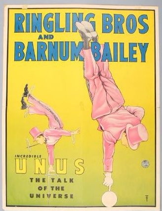 Ringling Brothers & Barnum & Bailey Incredible Unus (1 of 1)