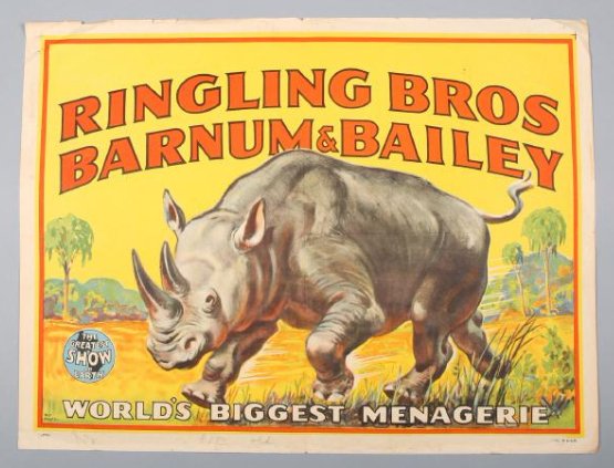 Ringling Brothers & Barnum & Bailey Circus Rhinocerous: World's Biggest Menagerie! Image by Bill Bailey, Remains of another piece of paper along the bottom. Can see Litho in U.S.A. on bottom right margins, and copyright on bottom right margin.a In pencil a