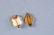 Antique 14K Gold/Pearl Sorority Brooches - 2