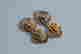 item-61808286=2