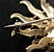 Victorian Seed Pearl, Diamond Rose Gold Brooch - 4