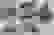 item-65444973=4