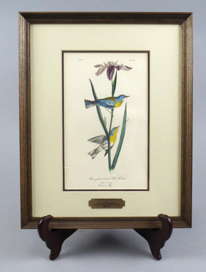 Original John J. Audubon (1785-1851) Blue Yellow-Backed: This wonderful print came from John James Audubon book "The Birds of America", the First Royal Octavo Edition (1840-1844). It comes with a Certificate of Authenticity and is a stone lithograph of the 