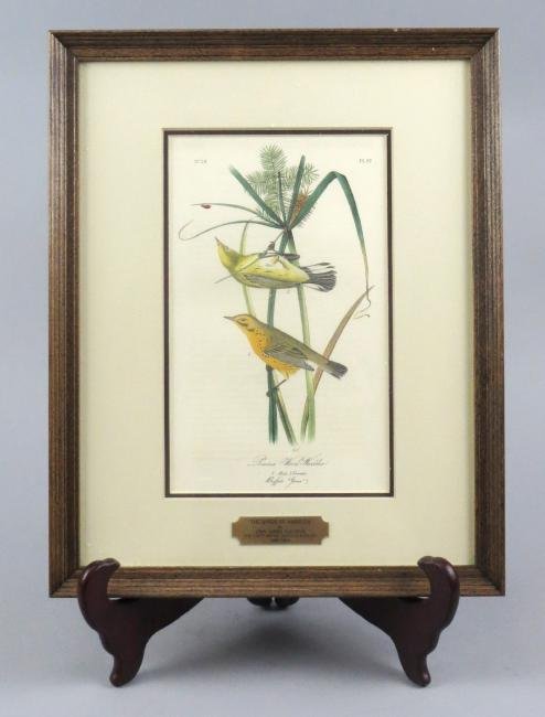 Original John J. Audubon (1785-1851) Prairie (1 of 4)