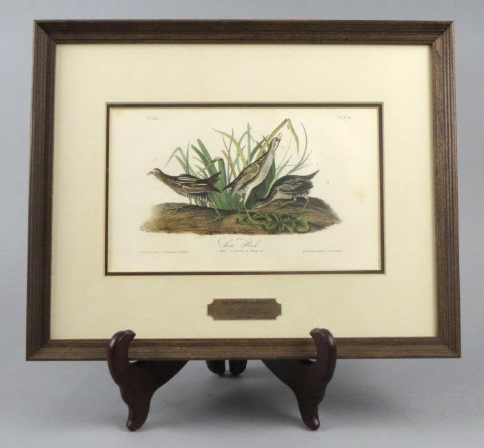 Original John J. Audubon (1785-1851) Sora Rail (1 of 4)