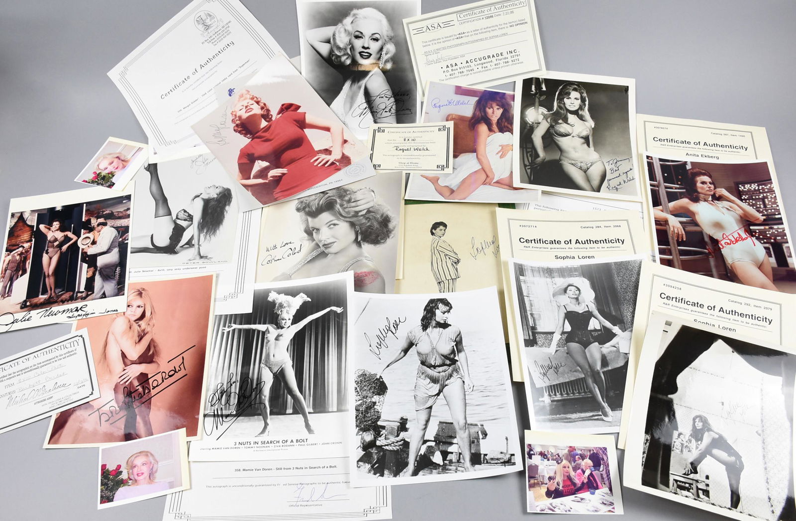 Hollywood Beauties, Welch, Loren, Kidder, Bardot, (1 of 4)