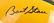 Full Size, Green Bay Packers, Bart Starr Helmet w/ COA - 2