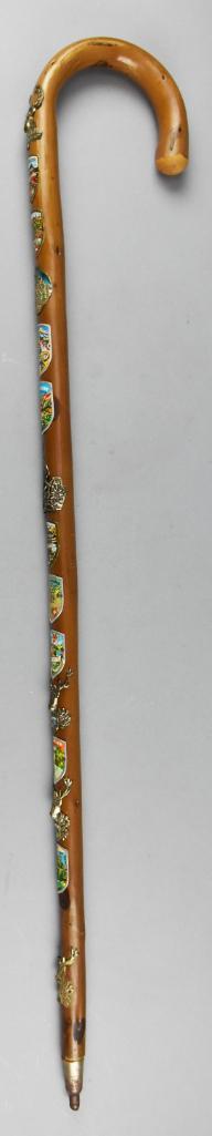 Vintage German/Austria Tourist Walking Stick/Cane (1 of 8)
