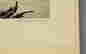 item-116613562=3