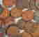 item-116614056=4
