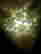 item-120646557=3