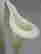 item-120646563=2