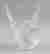 item-120646564=2