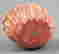 item-120646701=4