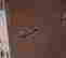 item-120646713=10