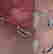 item-120646713=13