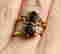 item-120646886=1