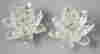 item-120646950=2