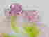 item-128356017=3