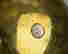 item-130713926=6