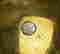 item-130713926=7