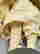 item-130714197=10