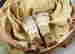 item-130714198=13