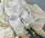 item-130714202=15