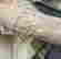 item-130714202=16