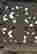 item-130714402=10