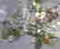 item-130714519=2