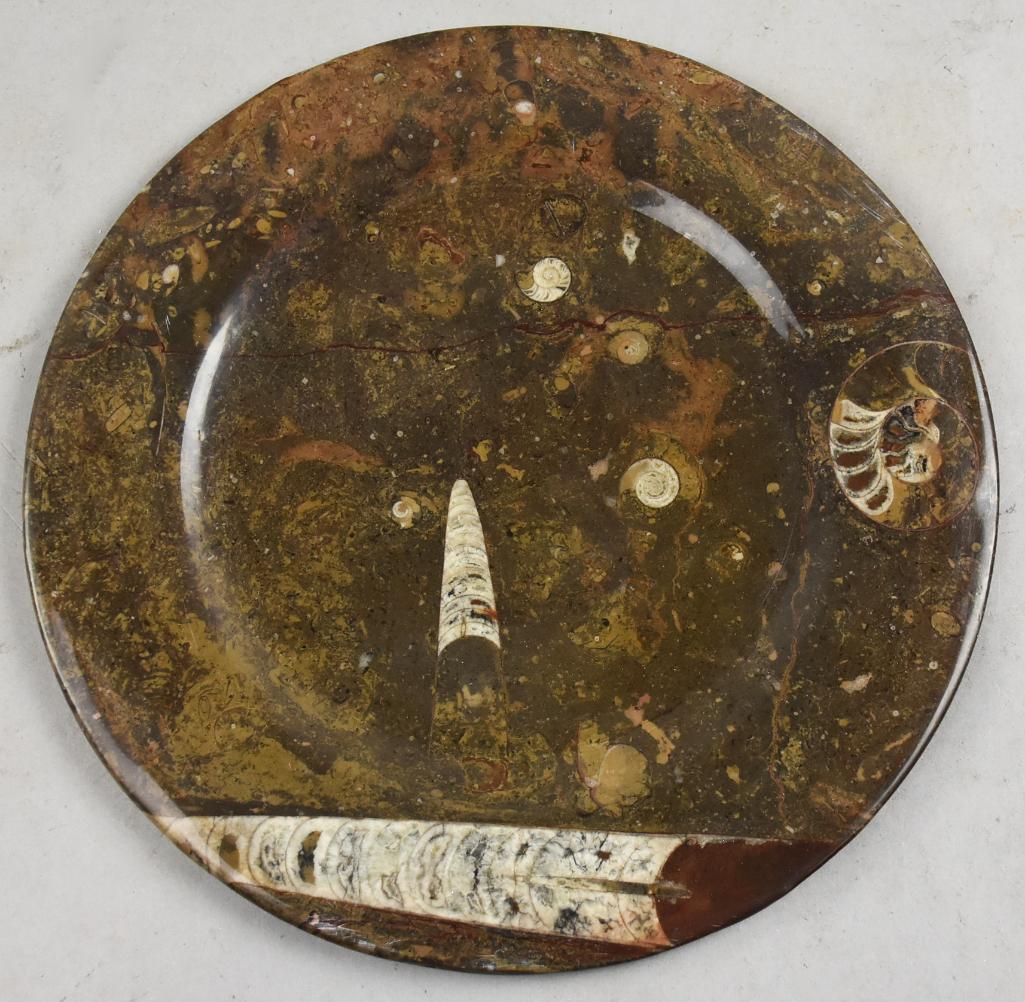Moroccan Ammonite Fossil Stone Plate (1 of 3)