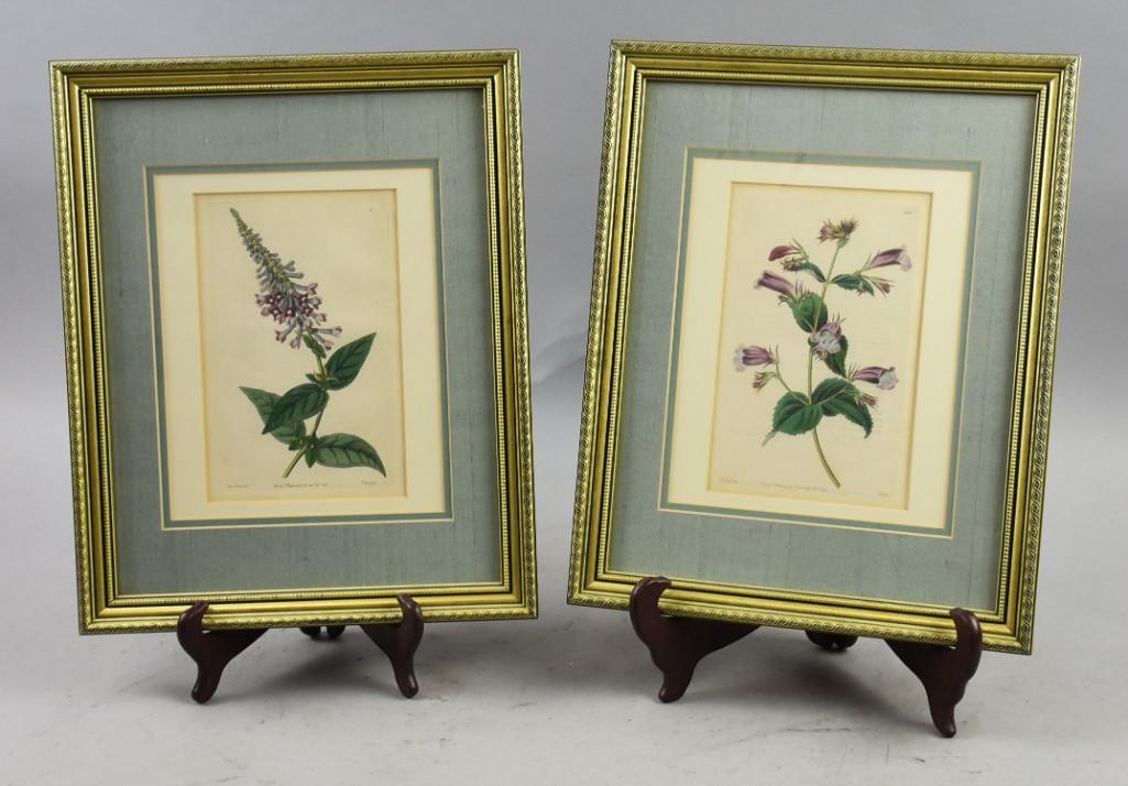 Pair Antique J Ridgeway Botanical Prints 1849 (1 of 7)