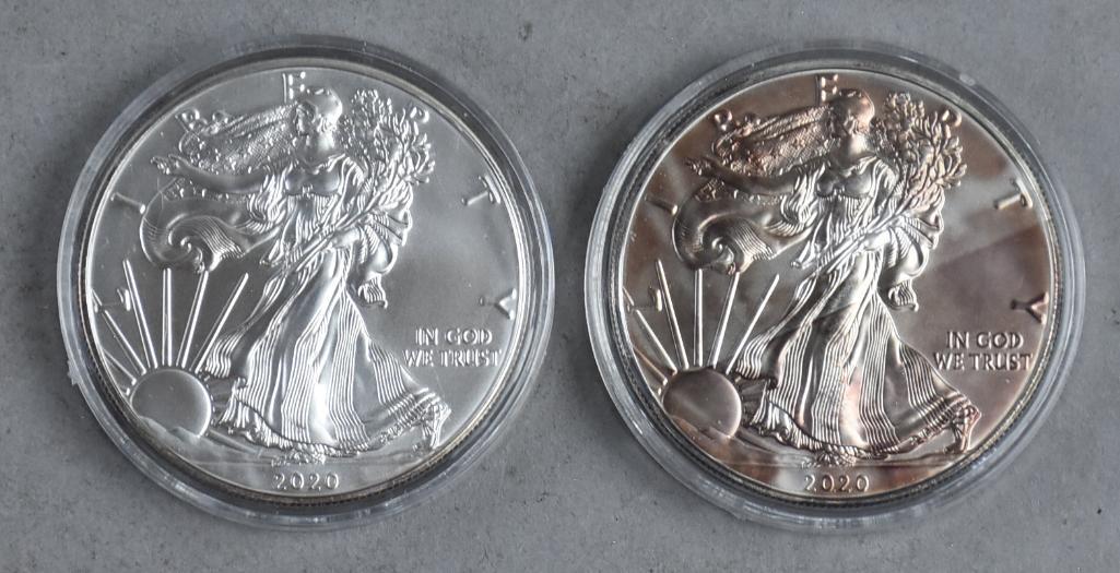 Pair 2020 1 Oz Fine Silver American Eagle One Dollar (1 of 2)