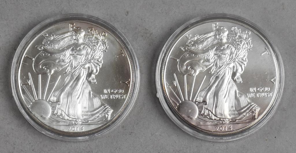 Pair 2014 1 oz Fine Silver American Eagle One Dollar (1 of 2)