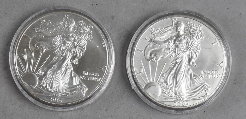 2003 & 2014 1 Oz Fine Silver American Eagle One Dollar (1 of 2)