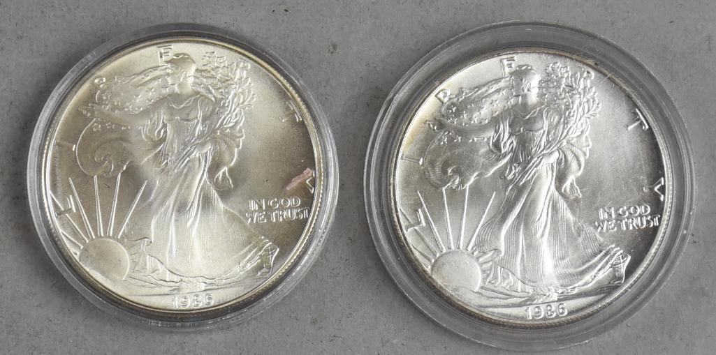 Pair 1986 1 Oz Fine Silver American Eagle One Dollar (1 of 2)