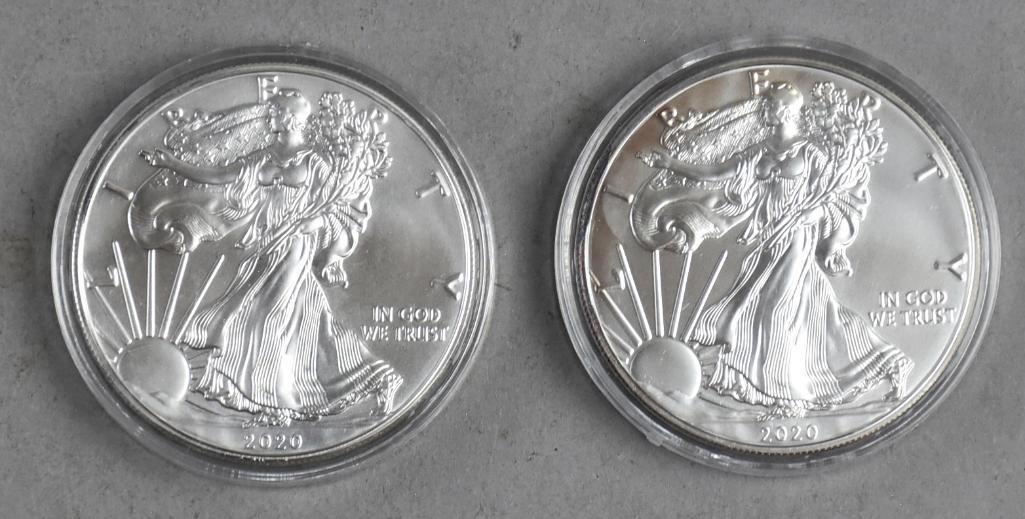 Pair 2020 1 Oz Fine Silver American Eagle One Dollar (1 of 2)