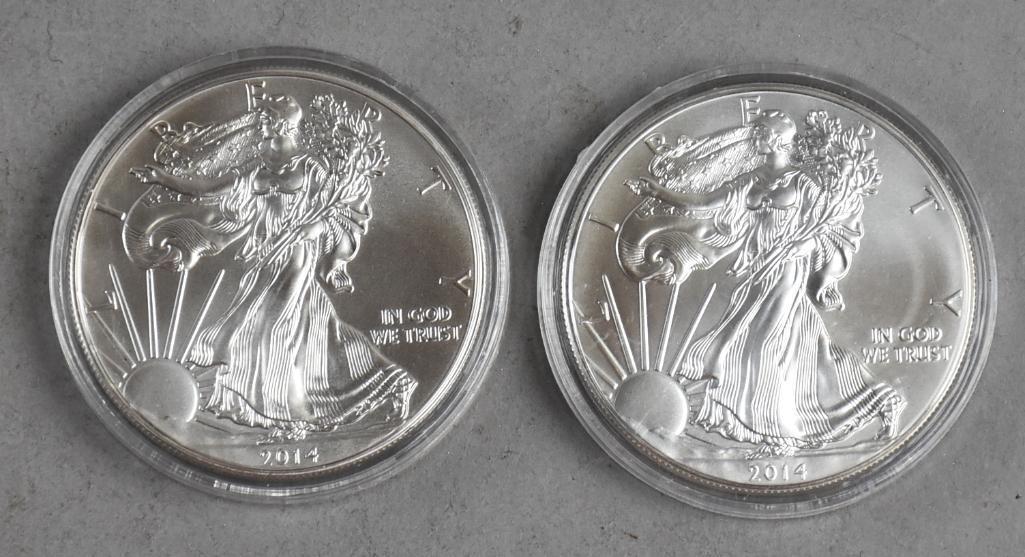 Pair 2014 1 oz Fine Silver American Eagle One Dollar (1 of 2)
