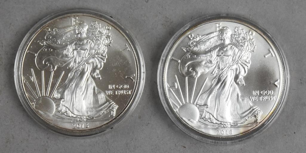 2013 & 2018 1 Oz Fine Silver American Eagle One Dollar (1 of 2)