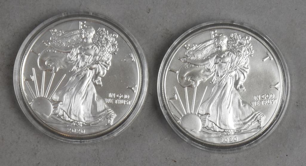 Pair 2020 1 Oz Fine Silver American Eagle One Dollar (1 of 2)