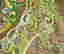 item-134305542=15