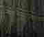 item-134305543=6
