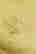 item-134305551=7